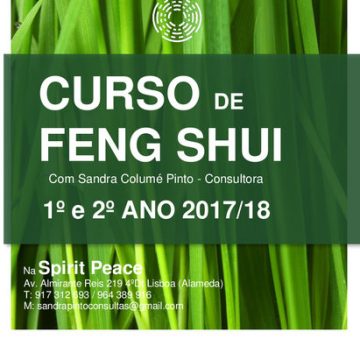 Curso Feng Shui 1º e 2º Ano